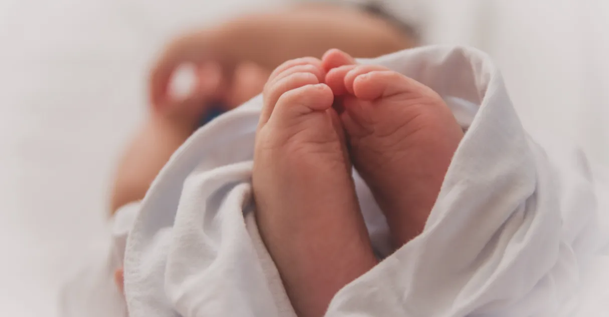 Зображення до новини