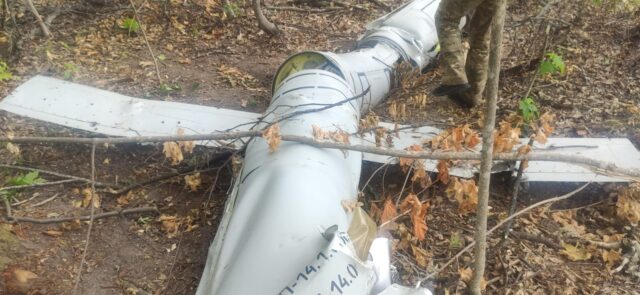 На Вінниччині лісничі виявили уламки збитої ворожої ракети “Калібр”. ФОТО