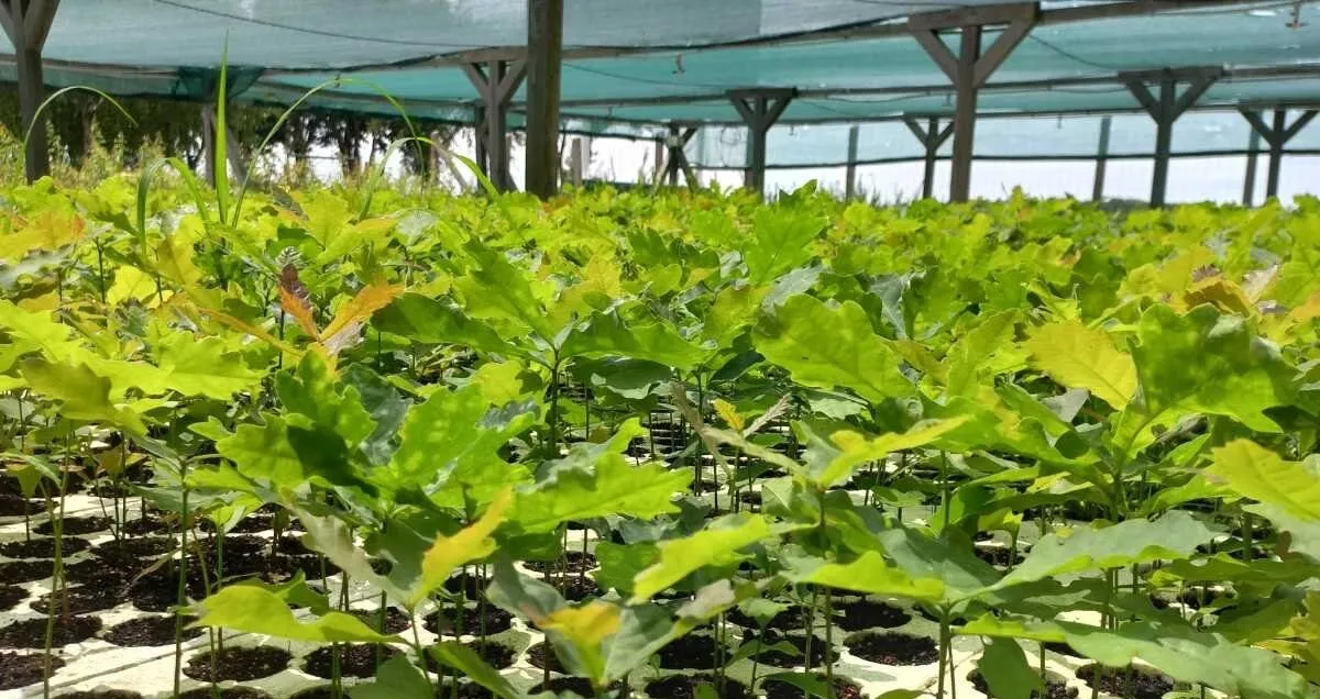 Зображення до новини