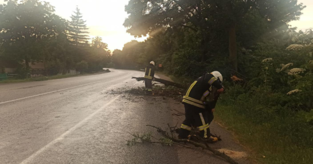 Негода на Вінниччині: вчора рятувальники п’ять разів виїжджали на прибирання з доріг повалених дерев