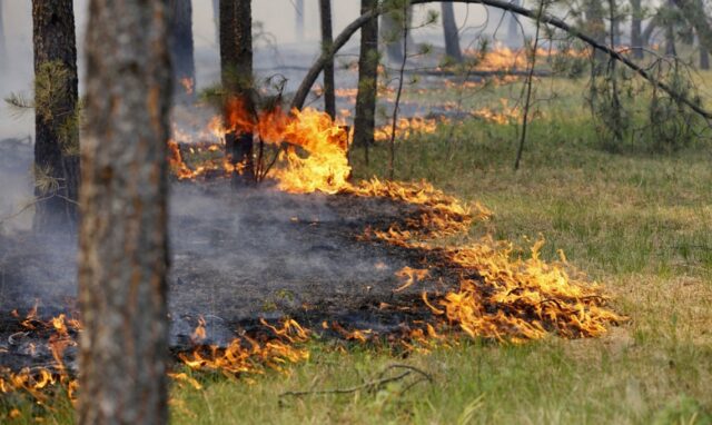 Синоптики попереджають про надзвичайний рівень пожежної небезпеки на Вінниччині 20 липня