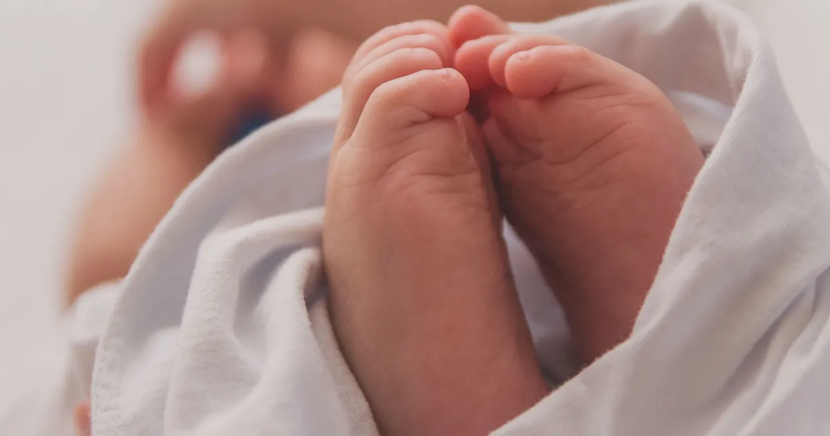 Зображення до новини