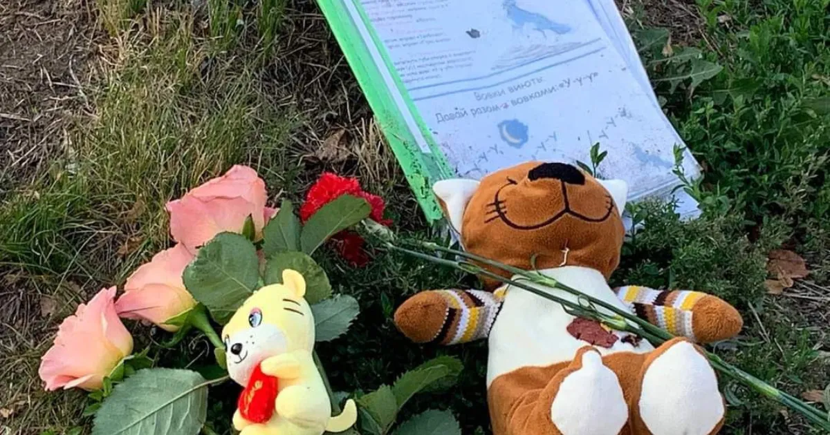 Зображення до новини