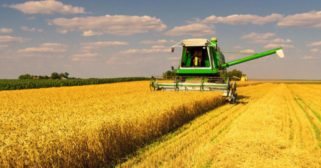 На Вінниччині намолочено 390 тисяч тонн зерна ранньої групи зернових та зернобобових
