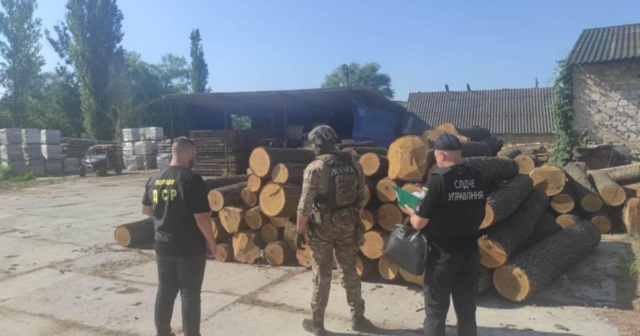 На Вінниччині викрили злочинну групу, яка розкрадала і збувала деревину особливо цінних порід