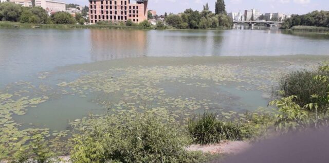 Зелена пляма на річці Південний Буг: вінницька держекоінспекція дослідила воду на вміст забруднюючих речовин