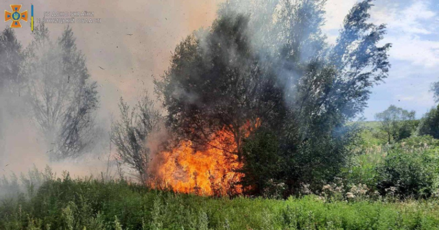 У суботу рятувальники Вінниччини 36 разів виїжджали на ліквідацію пожеж, з яких більшість сталася в екосистемах