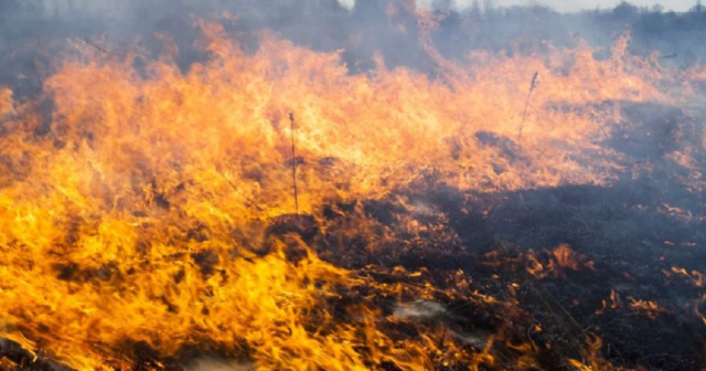 Синоптики попереджають мешканців Вінниччини про надзвичайний рівень пожежної небезпеки