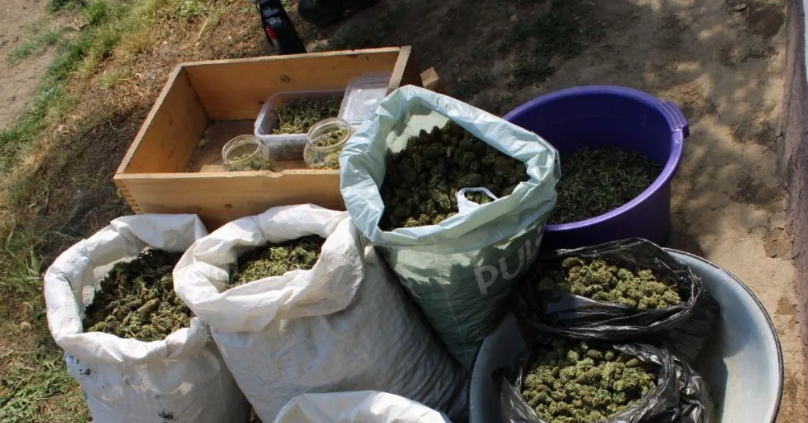 Зображення до новини