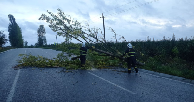 Повалені дерева та знеструмлені населені пункти – наслідки негоди на Вінниччині
