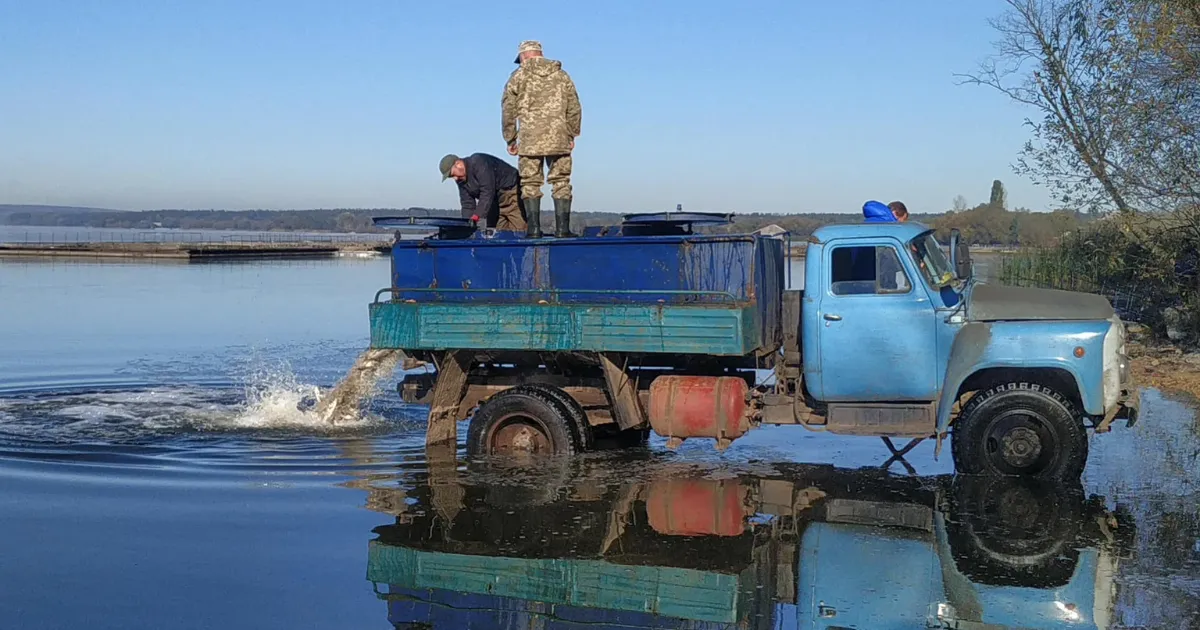 Зображення до новини