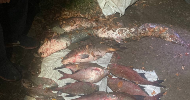 Майже 49 тисяч гривень збитків: у Вінниці склали адмінпротоколи на громадян, які незаконно виловили 23 кілограми риби