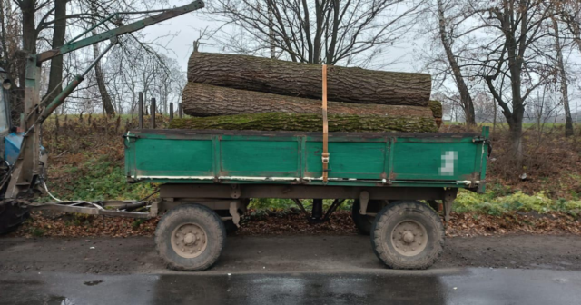 На Вінниччині поліція виявила водія трактора, який незаконно перевозив деревину дуба