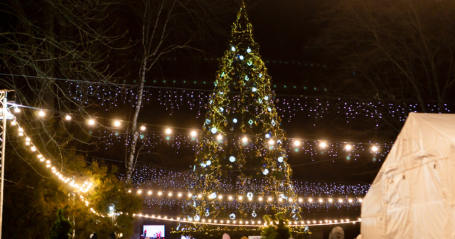 У Вінниці не встановлюватимуть новорічну ялинку в парку і не прикрашатимуть місто ілюмінацією