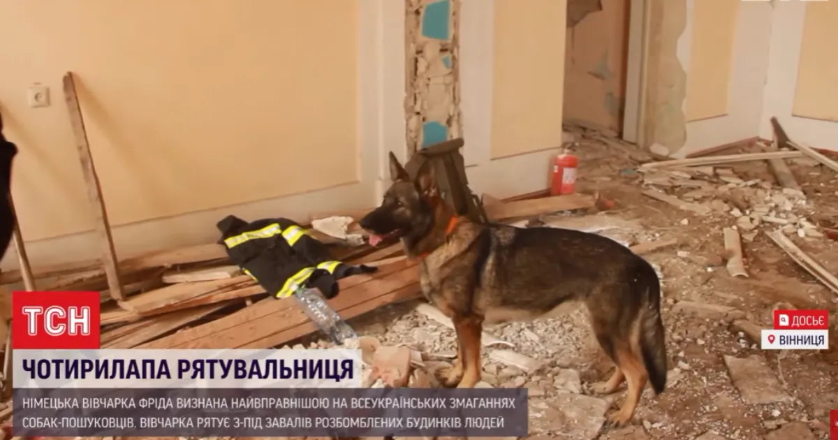 Зображення до новини