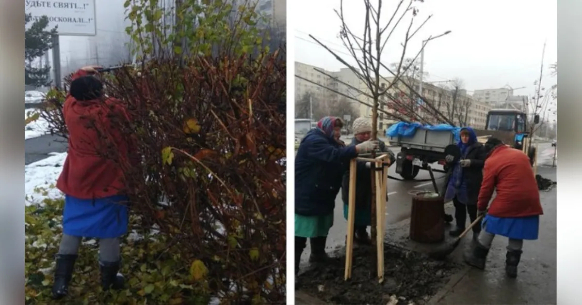 Зображення до новини