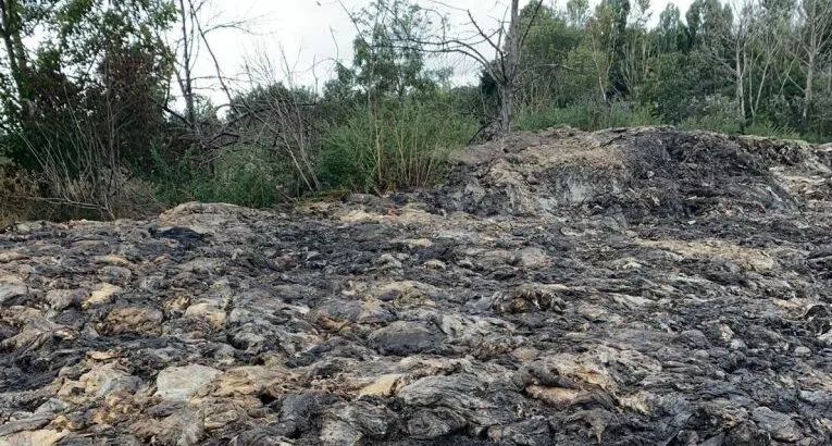 Зображення до новини