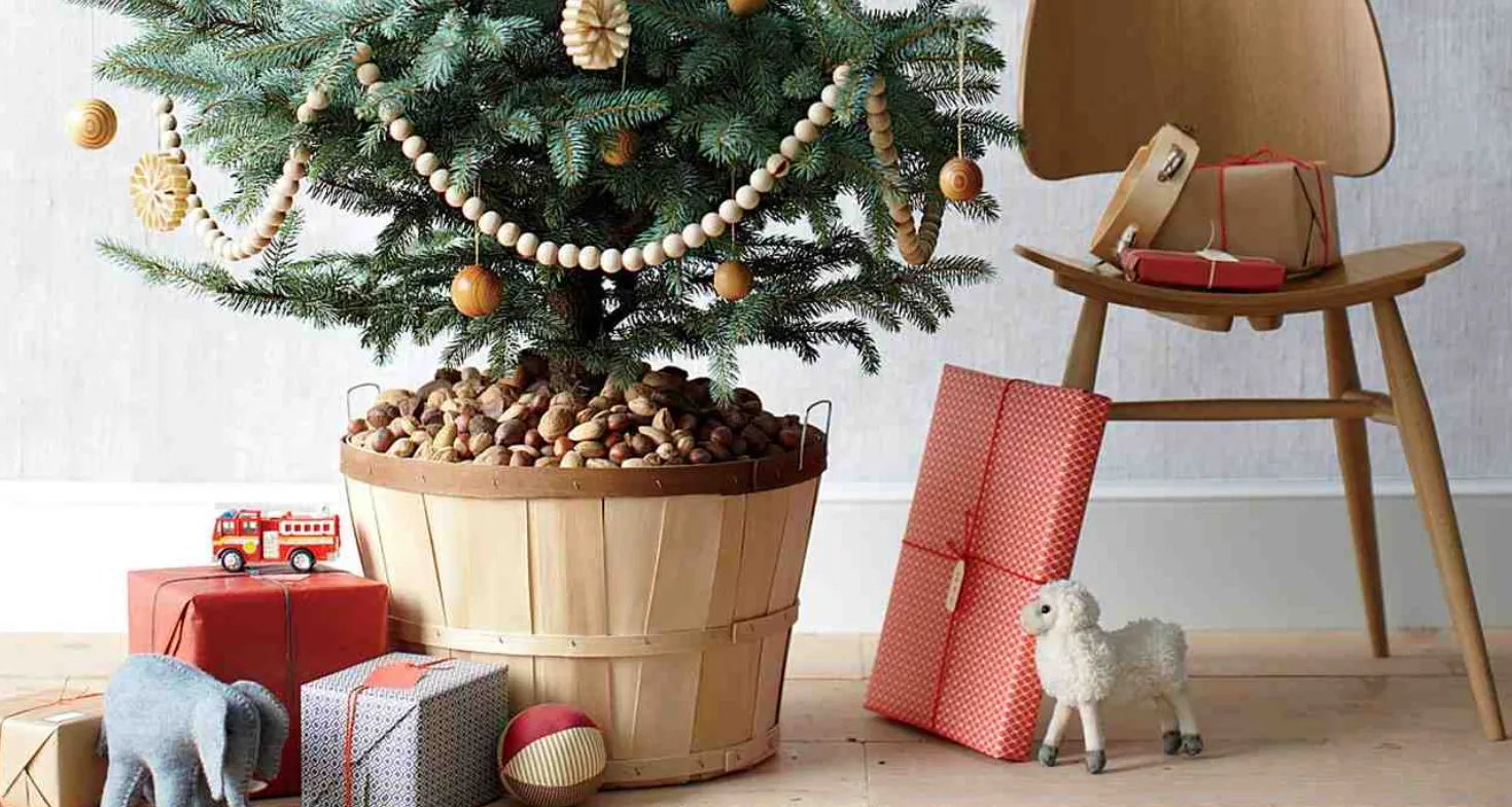 Зображення до новини