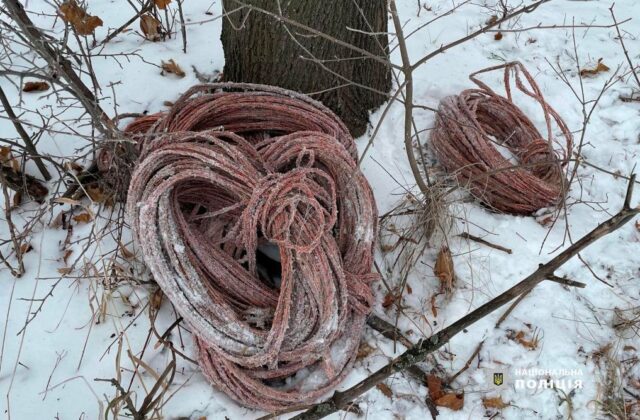 Викрали понад 300 метрів мідного кабелю за раз: на Вінниччині затримали групу крадіїв. ФОТО, ВІДЕО