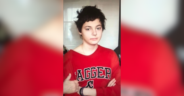 Поліцейські Вінниччини розшукують безвісти зниклу 15-річну Вікторію Верецьку
