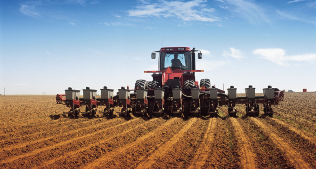 На Вінниччині цього року зернові та зернобобові культури займуть 44 % посівних площ