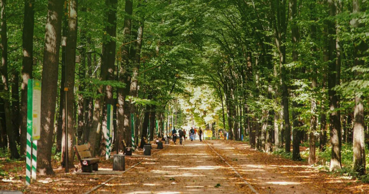 Зображення до новини