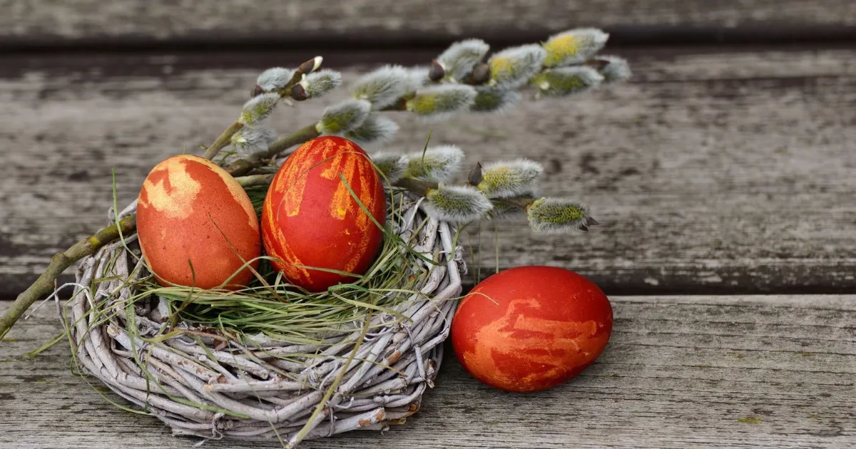 Зображення до новини