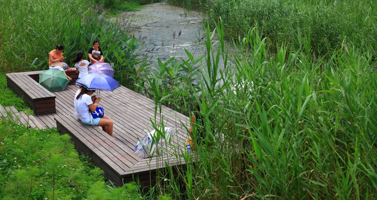 Зображення до новини