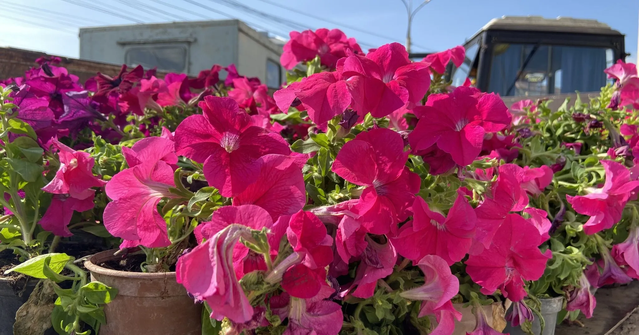 Зображення до новини