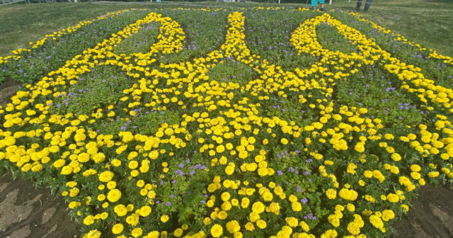 Працівники «Вінницязеленбуду» оновили «квітковий тризуб» на Замковій горі