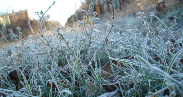 Заморозки на поверхні ґрунту і гроза: яку погоду прогнозують синоптики на Вінниччині найближчими днями