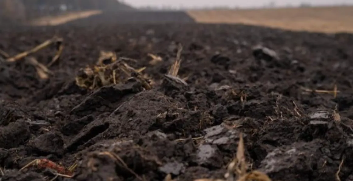 Зображення до новини