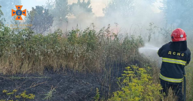На Вінниччині минулої доби вогонь знищив близько 12 гектарів сухої рослинності