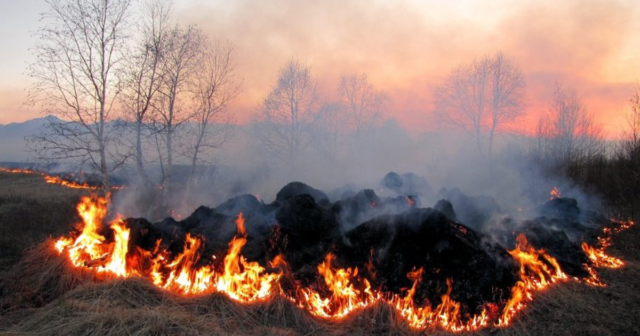 На Вінниччині протягом трьох днів переважатиме надзвичайний рівень пожежної небезпеки