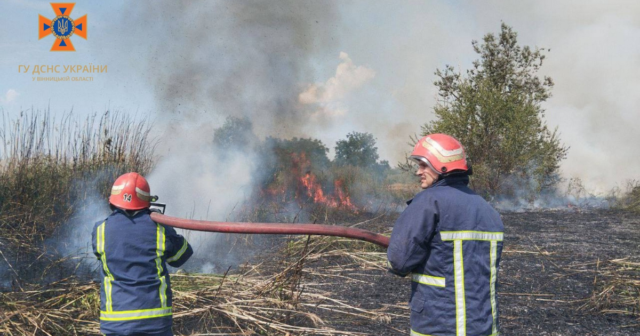 На Вінниччині вчора вогонь знищив понад десять гектарів сухої рослинності