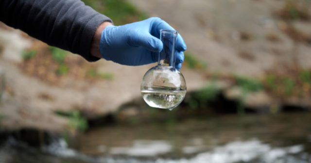 Екоінспекція Вінниччини опублікувала результати дослідження проб води з Ладижинського водосховища