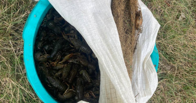 На Вінниччині двоє рибалок незаконно виловили раків на суму майже два мільйони гривень