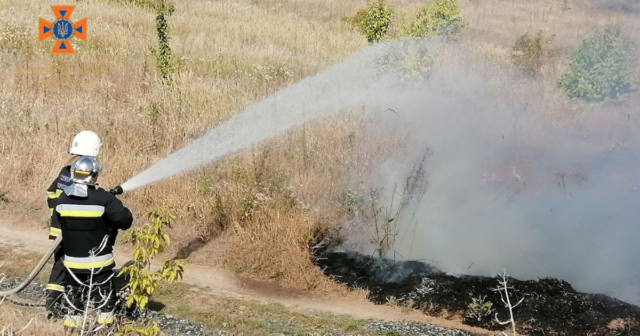 На Вінниччині внаслідок підпалу сухої трави та сміття минулої доби вогнем обпалено понад два гектари ґрунту