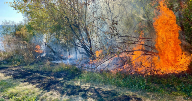 На Вінниччині за минулу добу в екосистемах сталось два десятки пожеж
