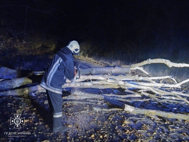 Вночі у кількох районах Вінниччини та у Вінниці сильний вітер повалив дерева на проїжджі частини. ФОТО