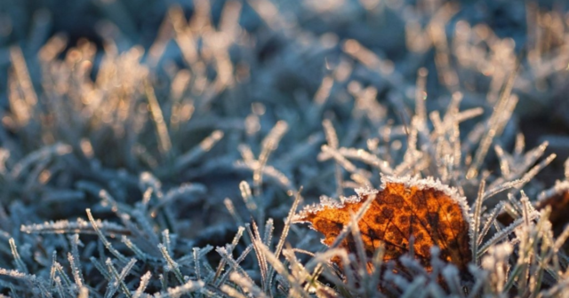 У Вінниці та області протягом двох ночей синоптики прогнозують сильні заморозки