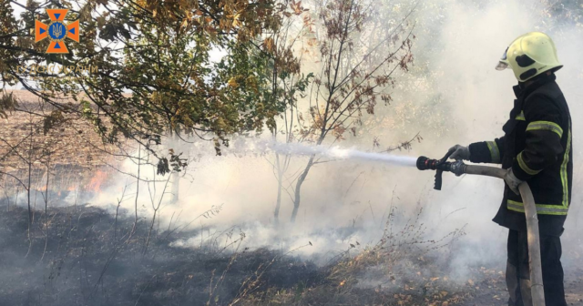 Займання авто, будинків та рослинності: на Вінниччині рятувальники вчора ліквідували 29 пожеж