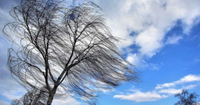 У Вінниці та області завтра прогнозують пориви вітру