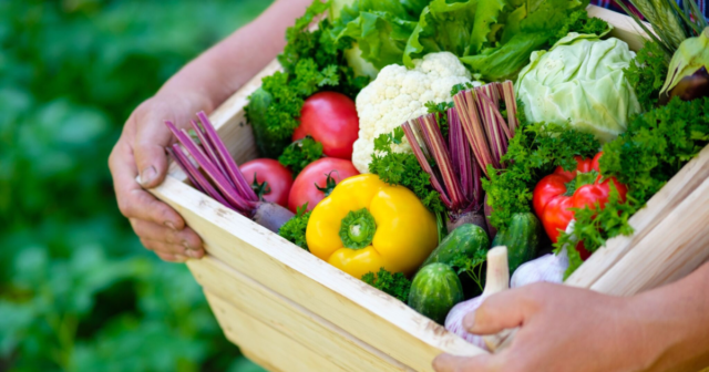 У Вінниці надаватимуть фінансову підтримку аграріям у галузях овочівництва та картоплярства