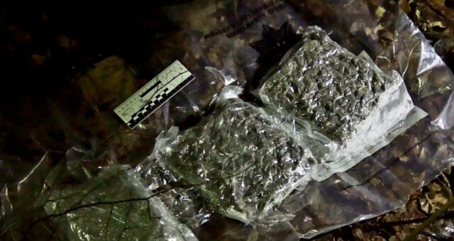 На Вінниччині правоохоронці викрили міжрегіональне наркоугруповання з мільйонними оборудками