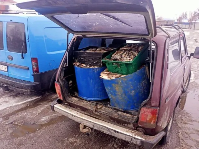 Авто зі 125 кілограмами плітки: на Вінниччині виявили факт незаконного перевезення свіжої риби