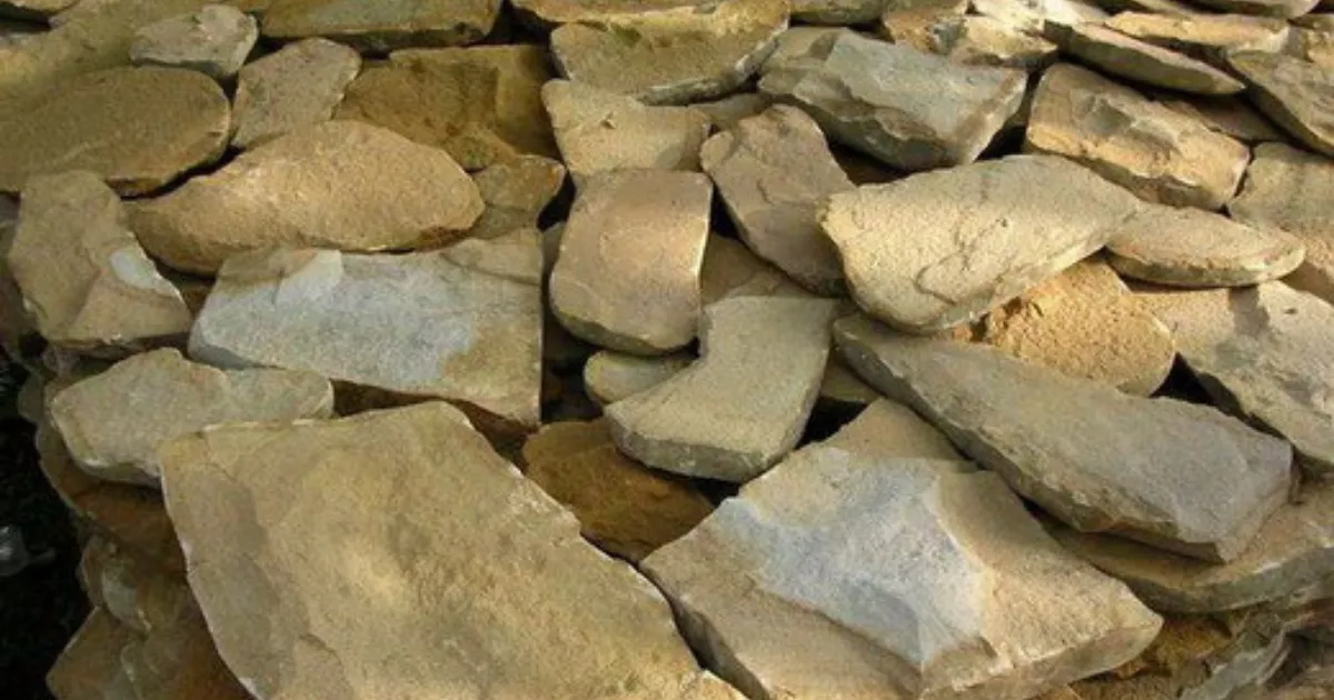 Зображення до новини