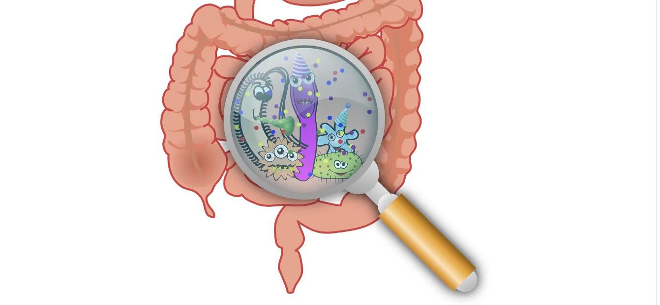 Зображення до новини