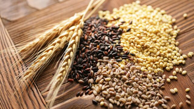 Вирощування зернових та олійних культур в Україні: особливості та екологічні аспекти