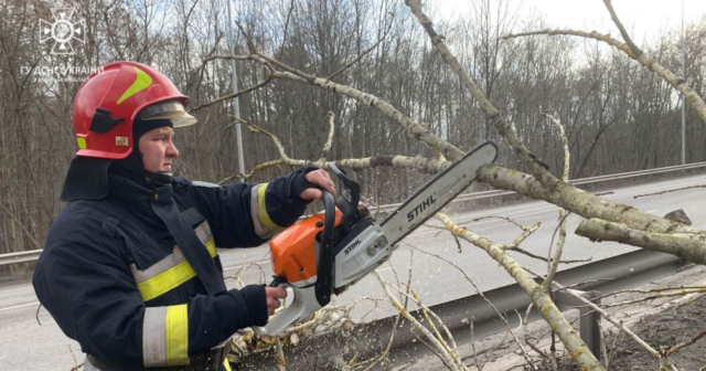 На Вінниччині вчора через шквальний вітер впали дерева на об’їзній дорозі та автошляху